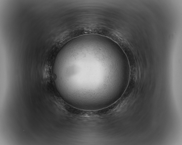 X0000087310770200704201209