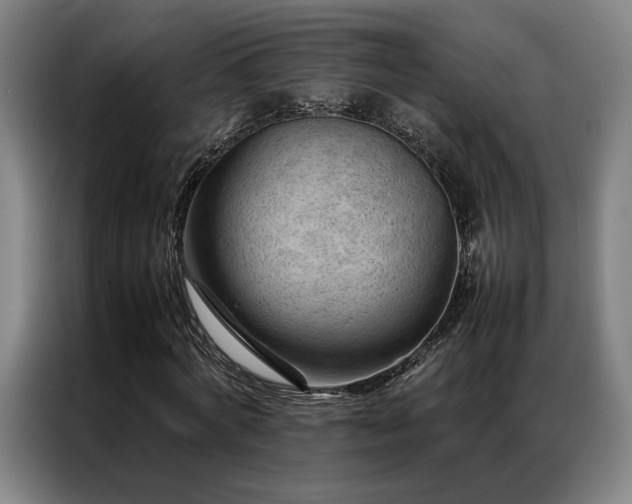 X0000087310772200704201209