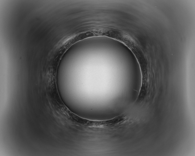 X0000087310773200704201209