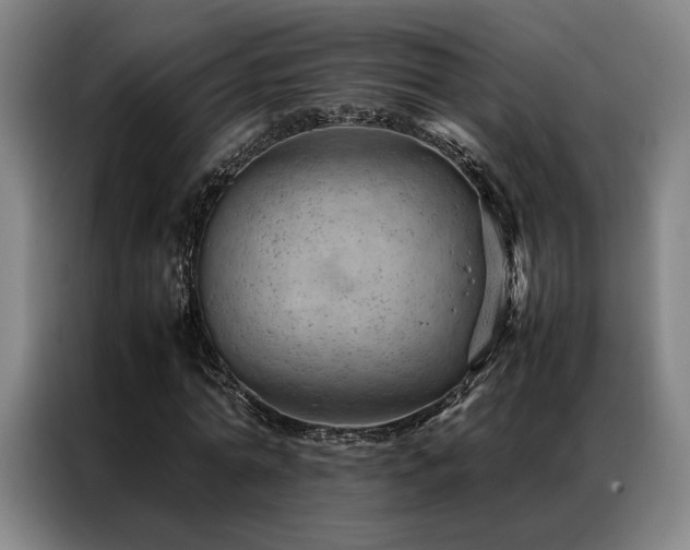 X0000087310774200704201209