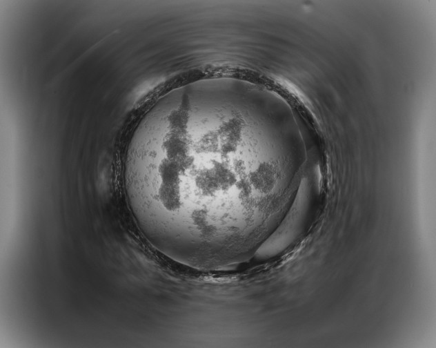 X0000087310775200704201209