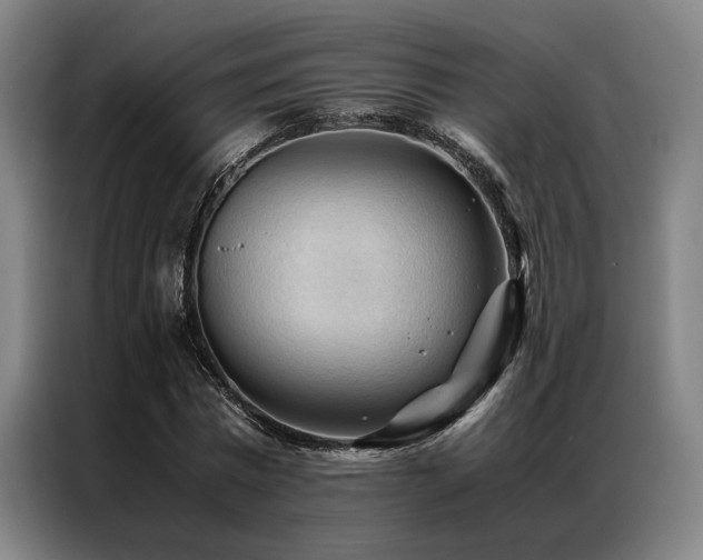 X0000087310777200704201209