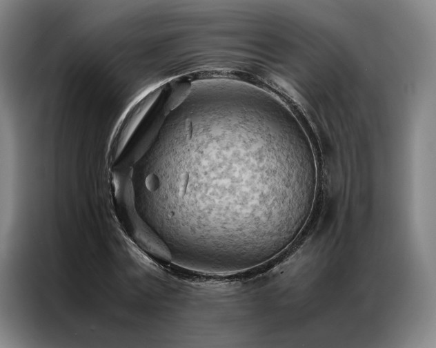 X0000087310779200704201209