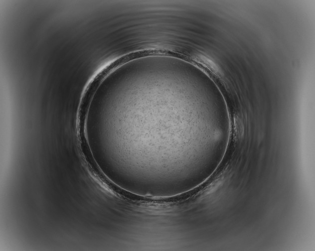 X0000087310780200704201209