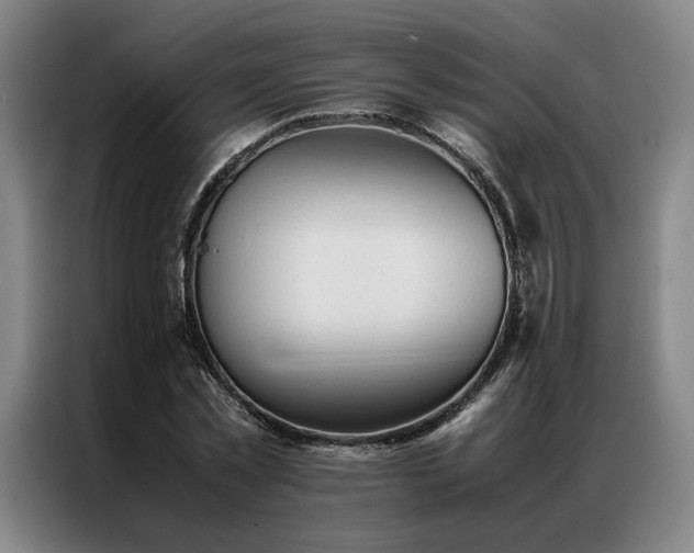 X0000087310781200704201209