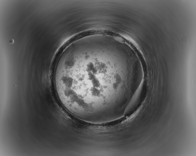 X0000087310783200704201209