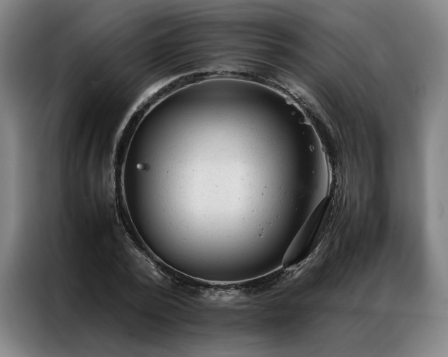 X0000087310784200704201209