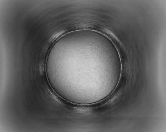 X0000087310785200704201209