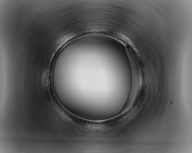 X0000087310786200704201209