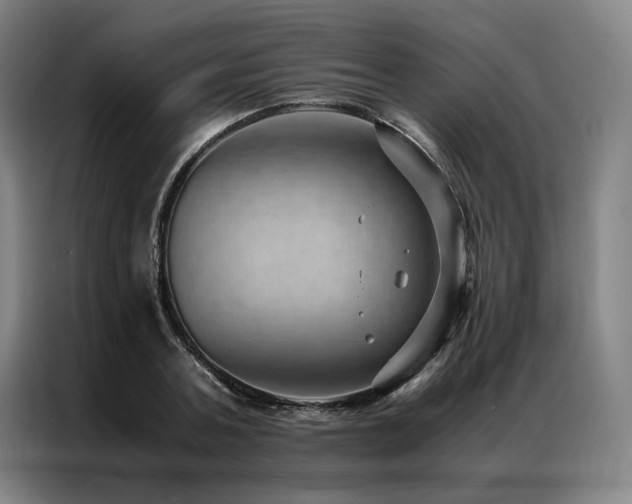 X0000087310787200704201209