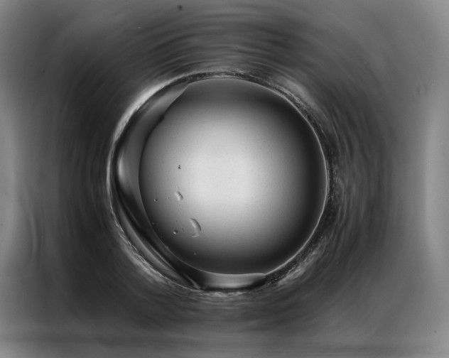 X0000087310788200704201209