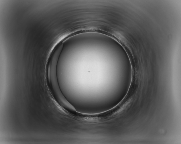 X0000087310789200704201209