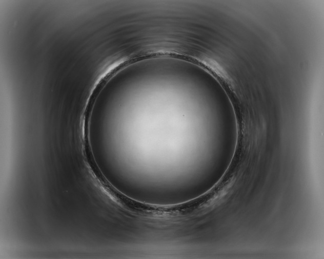 X0000087310790200704201209
