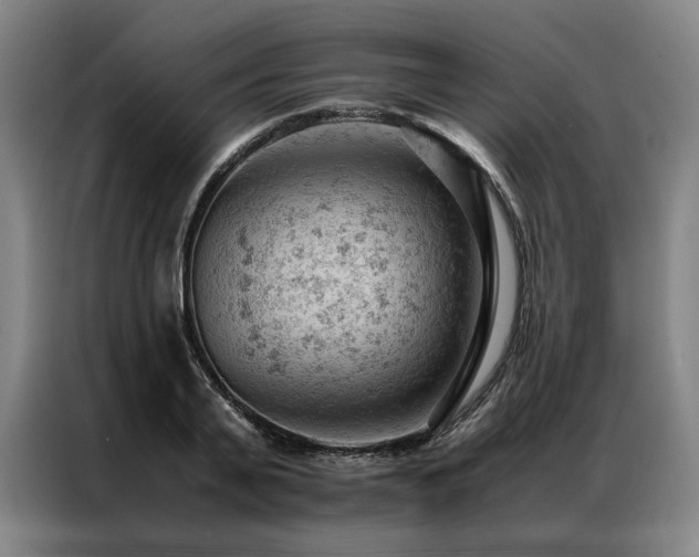 X0000087310791200704201209