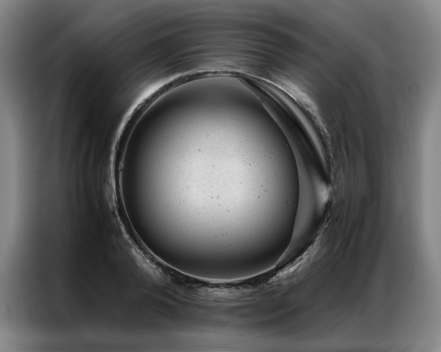X0000087310792200704201209