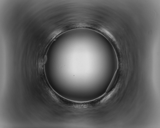 X0000087310793200704201209