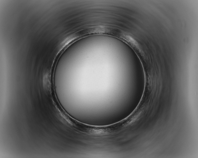 X0000087310794200704201209