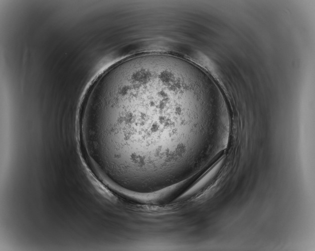 X0000087310795200704201209