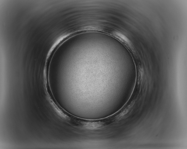 X0000087310796200704201209