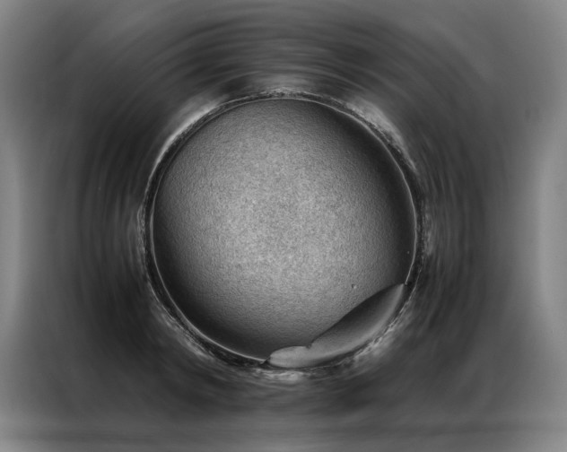 X0000087310798200704201209