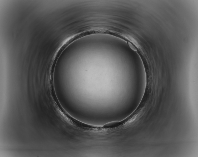X0000087310799200704201209