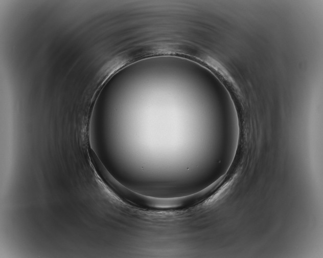 X0000087310801200704201209