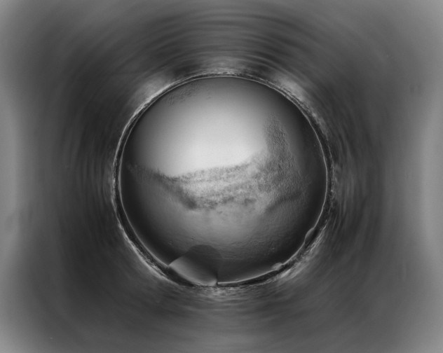 X0000087310802200704201209