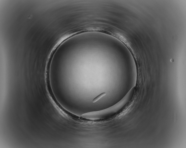 X0000087310803200704201209