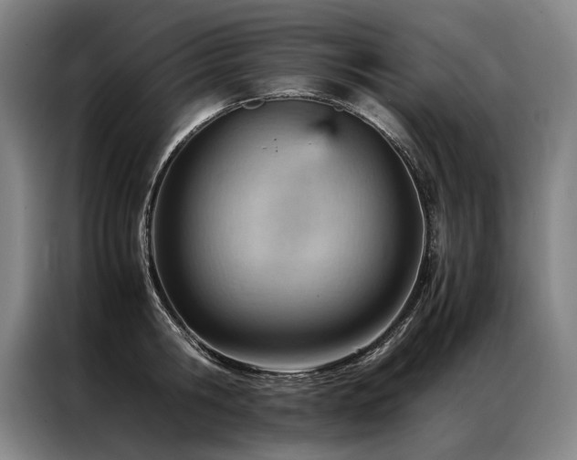 X0000087310806200704201209