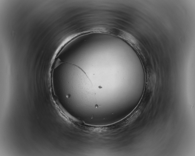 X0000087310808200704201209