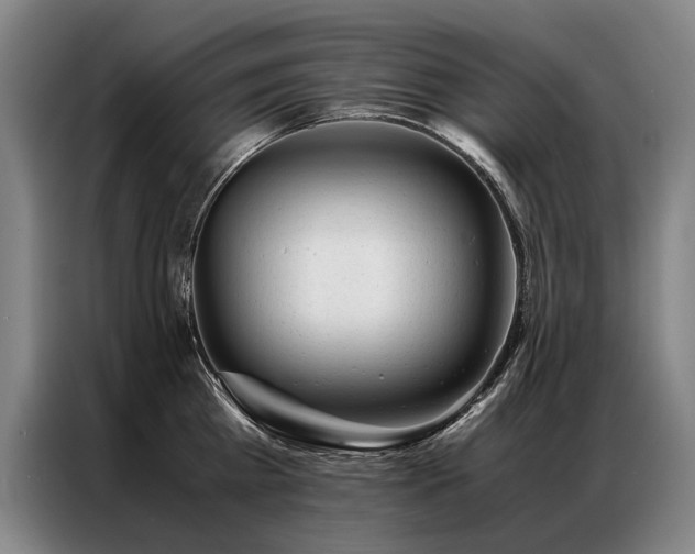 X0000087310809200704201209