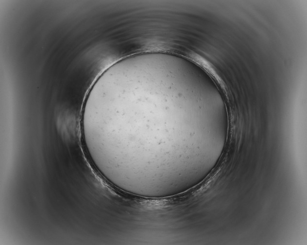 X0000087310810200704201209