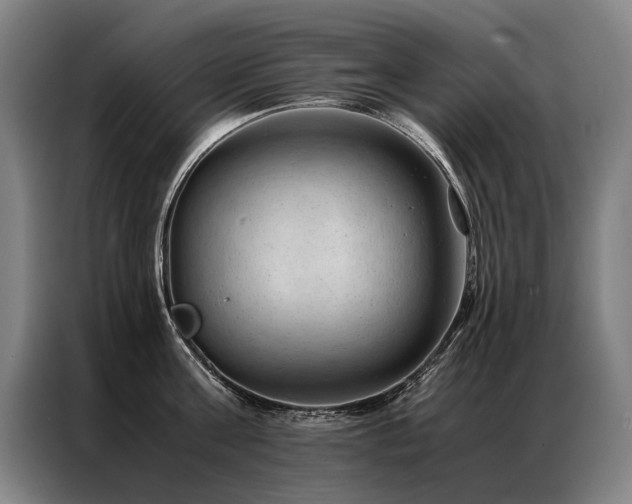 X0000087310811200704201209