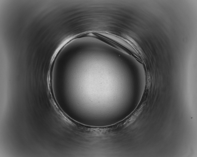X0000087310812200704201209