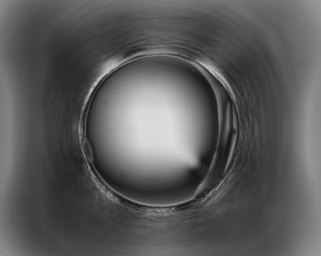 X0000087310813200704201209