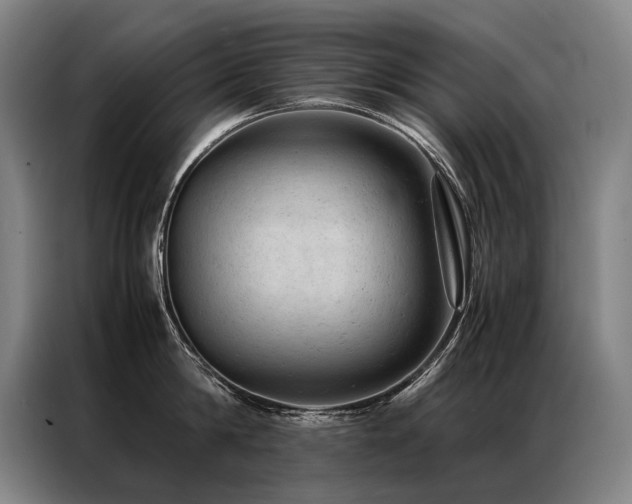 X0000087310814200704201209