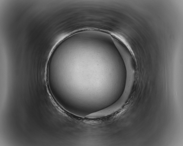 X0000087310815200704201209
