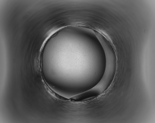 X0000087310816200704201209
