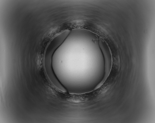 X0000087310818200704201208
