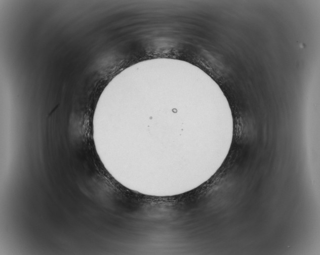 X0000087310820200704201208