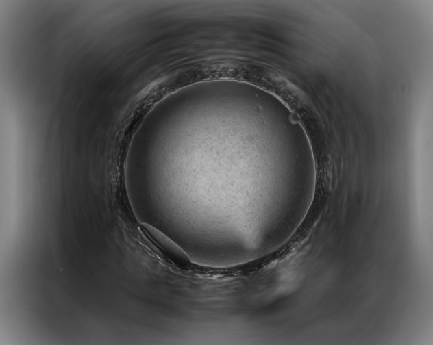 X0000087310821200704201208