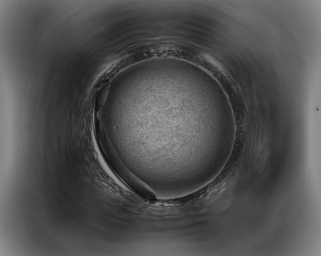 X0000087310823200704201208
