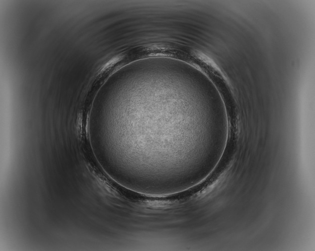 X0000087310825200704201208