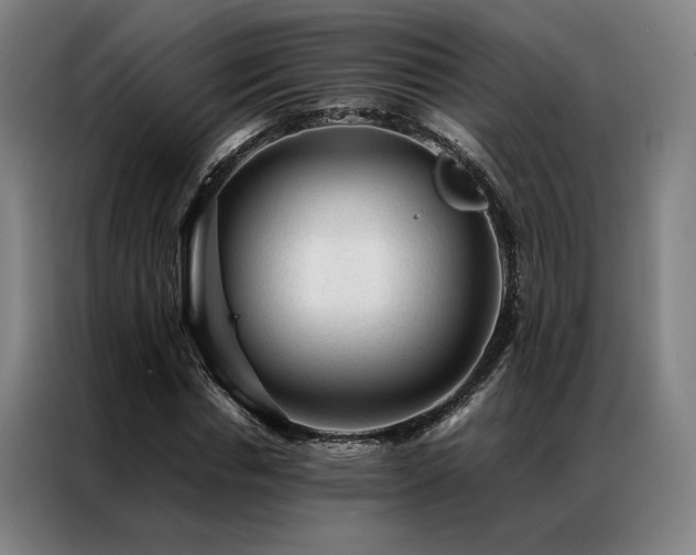 X0000087310826200704201208