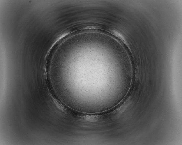 X0000087310827200704201208