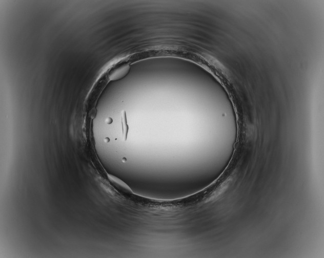 X0000087310830200704201208