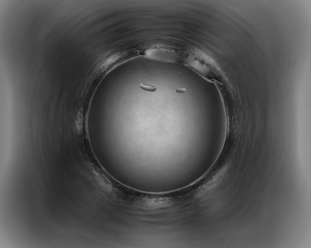 X0000087310833200704201209