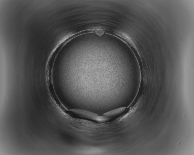 X0000087310835200704201209