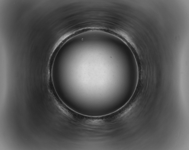 X0000087310837200704201209