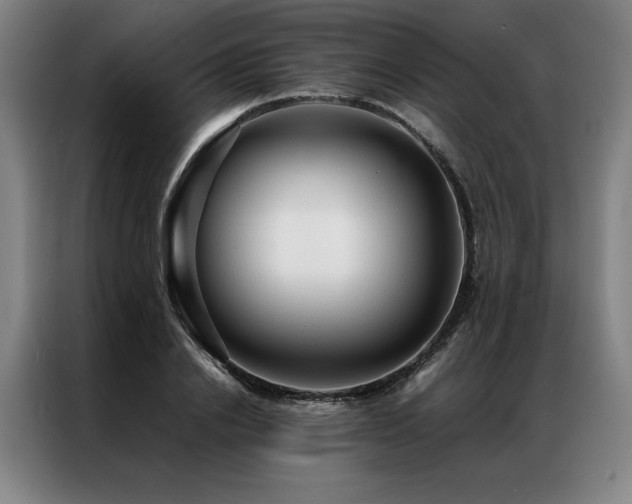 X0000087310838200704201209